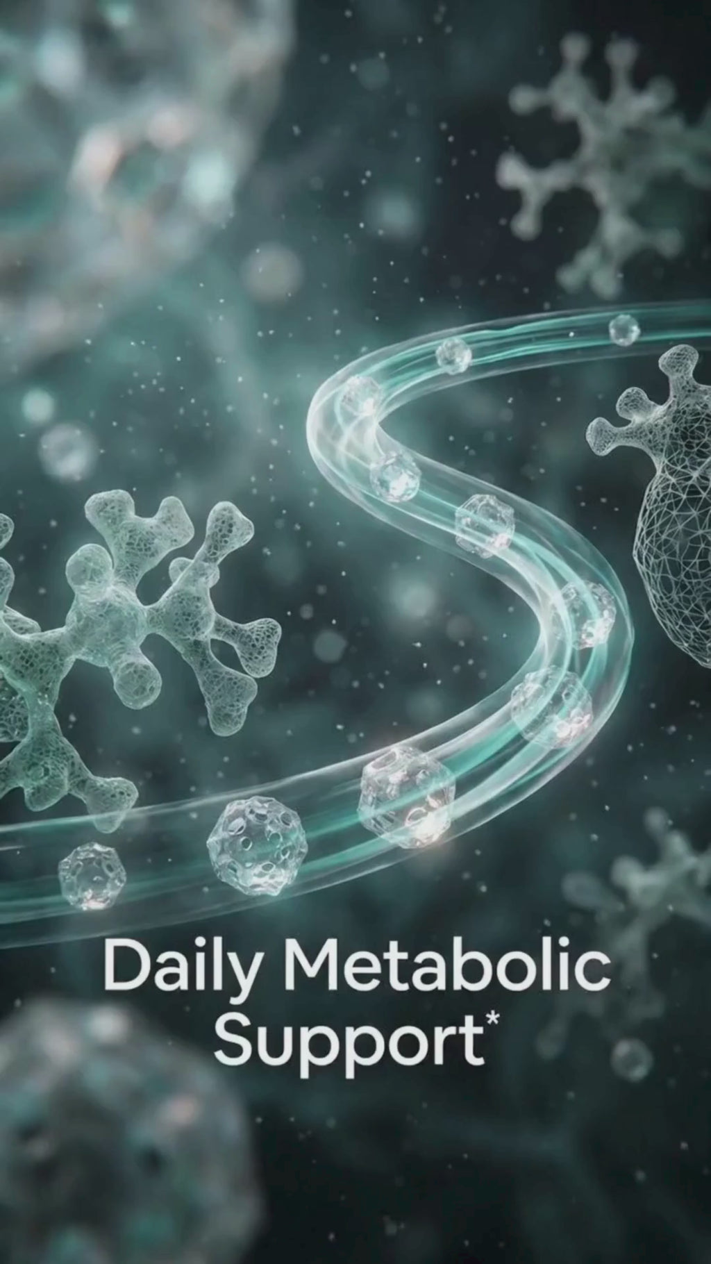 Vitalytics MetaBalance Glucose Support Bundle